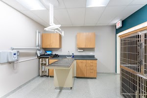 Ukrainian Village Veterinary Center place picture